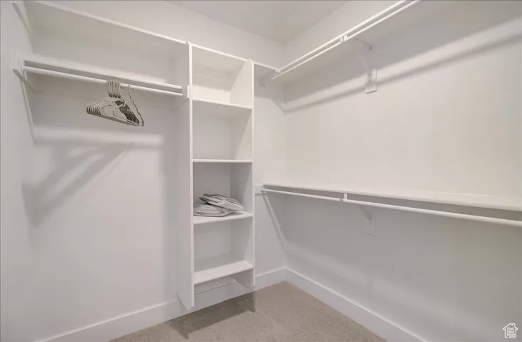 Spacious closet featuring light carpet