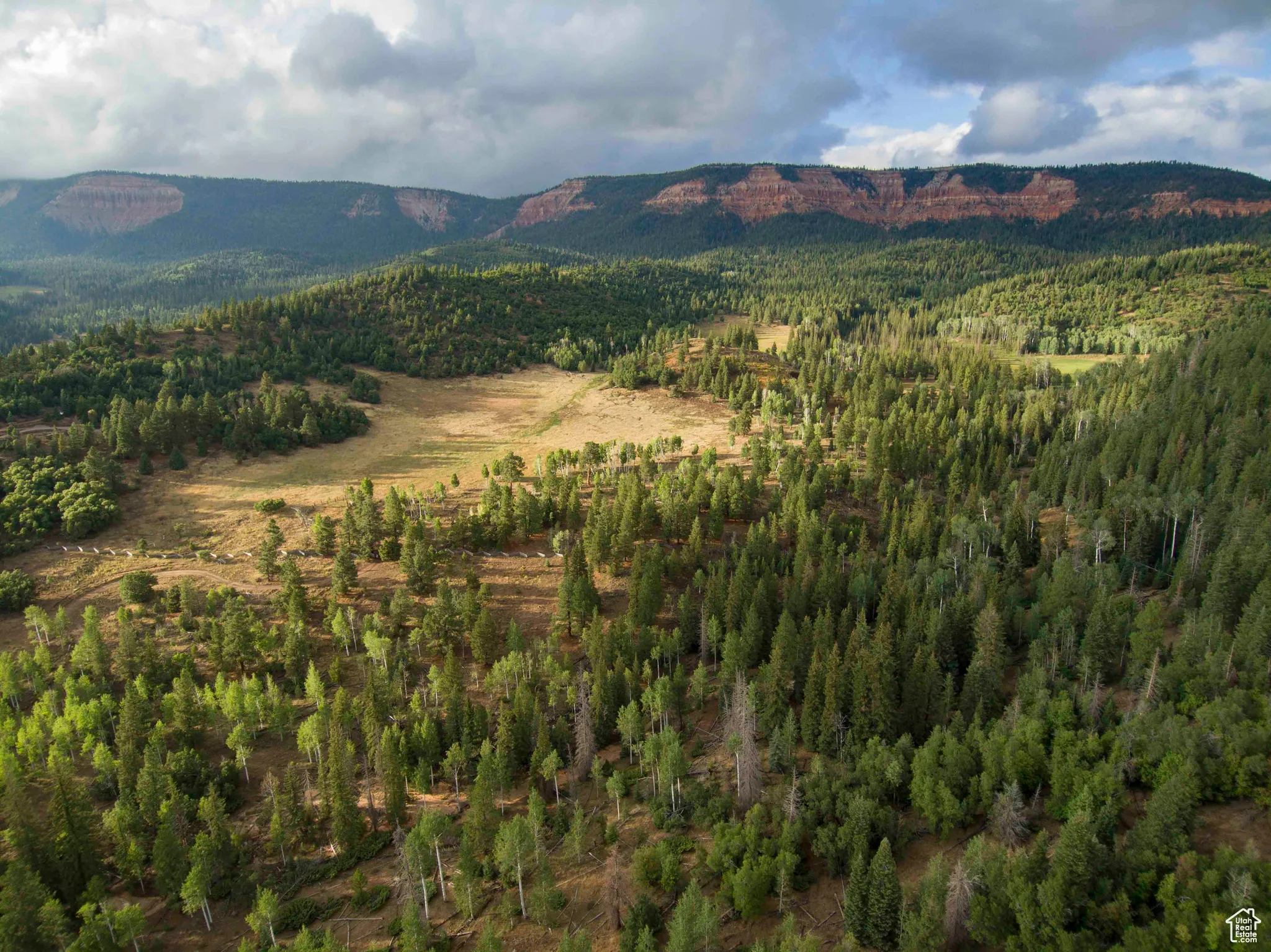 View of mountain background with a forest