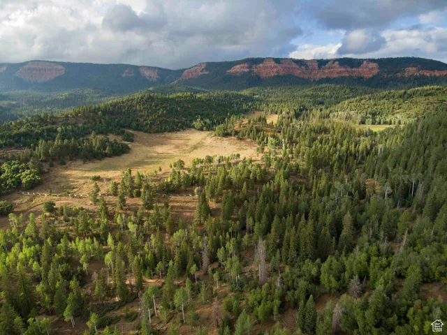 View of mountain background with a forest