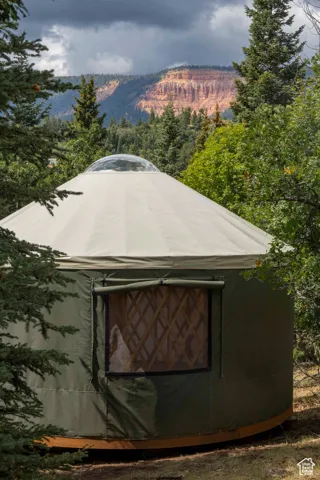 Mountain view with a heavily wooded area