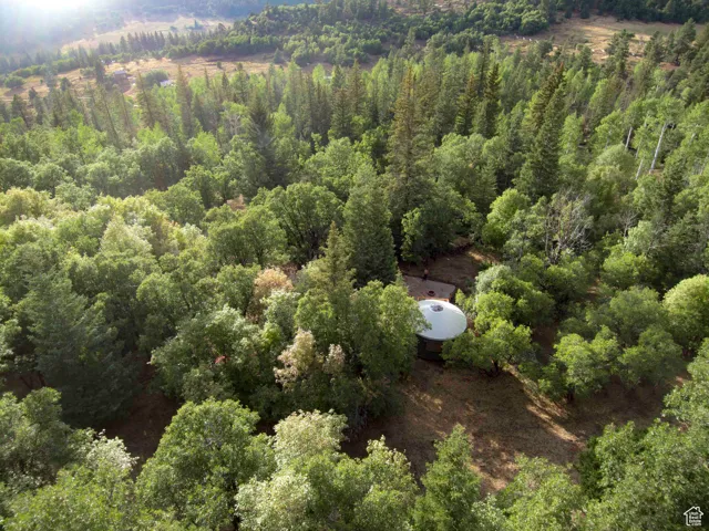 Aerial view of property's location