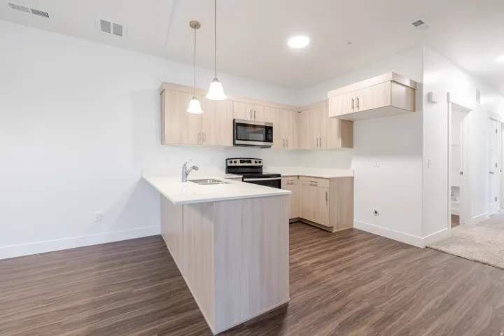 Kitchen with a peninsula, stainless steel appliances, dark wood-style floors, and light wood finish cabinetry