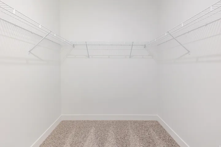 Walk in closet with carpet floors