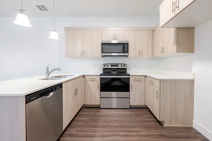 Kitchen with stainless steel appliances, a peninsula, dark wood-style flooring, light wood finish cabinetry, and hanging light fixtures