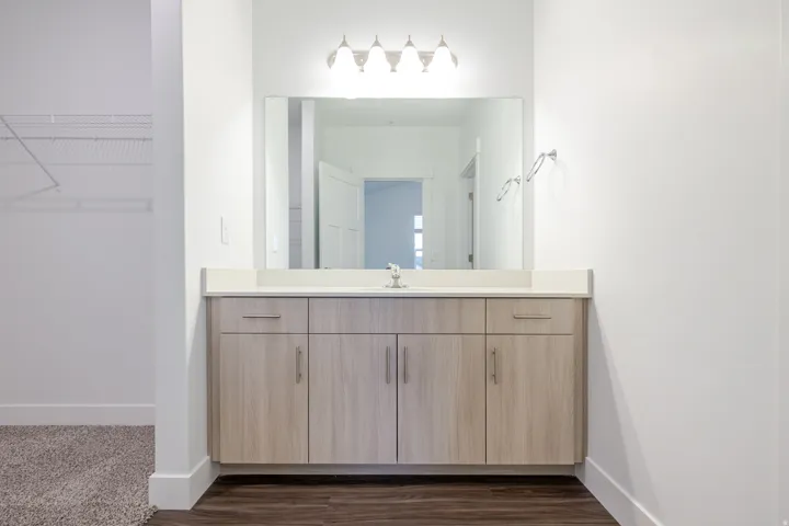 Bathroom featuring vanity, a walk in closet, and dark wood-style floors