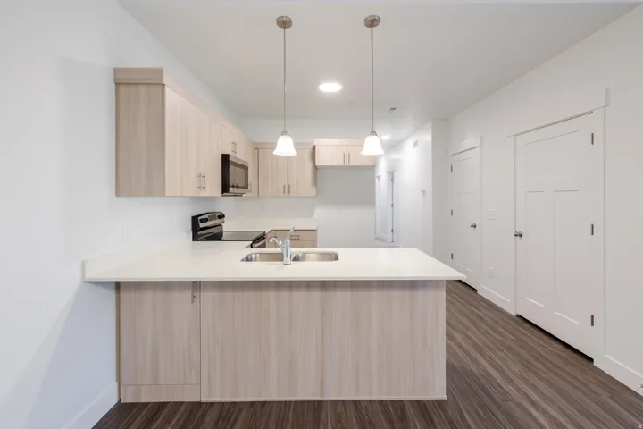 Kitchen featuring light wood finish cabinetry, a peninsula, pendant lighting, stainless steel appliances, and dark wood finished floors