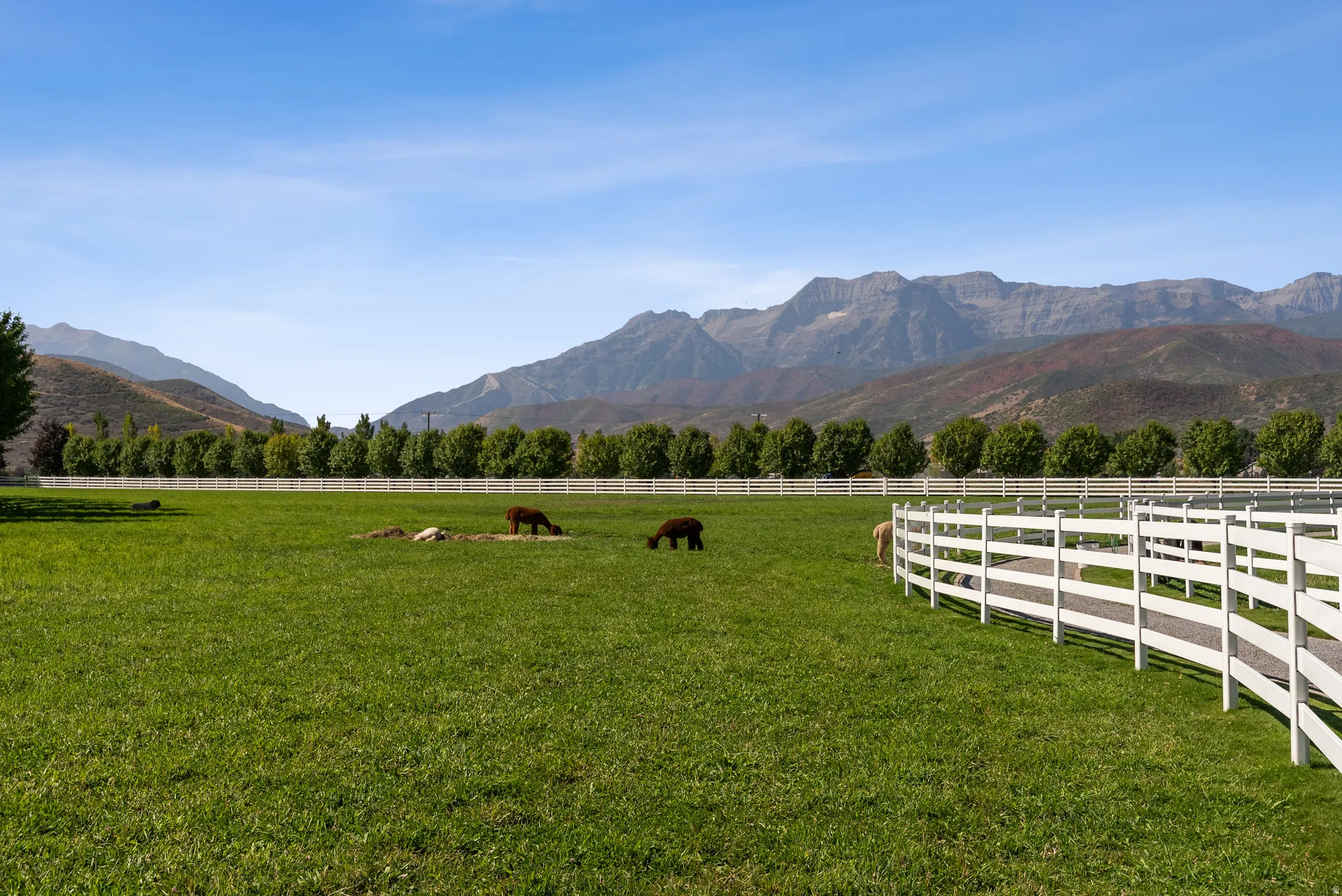 Expansive green acreage featuring a long white fence line, mature trees, and mountainous terrain in the background