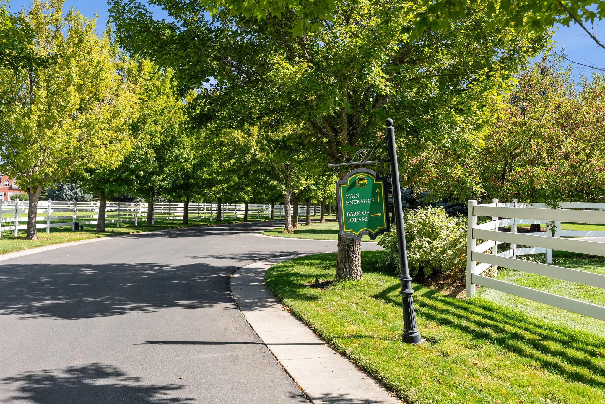 Paved roadway bordered by manicured lawns and mature deciduous trees