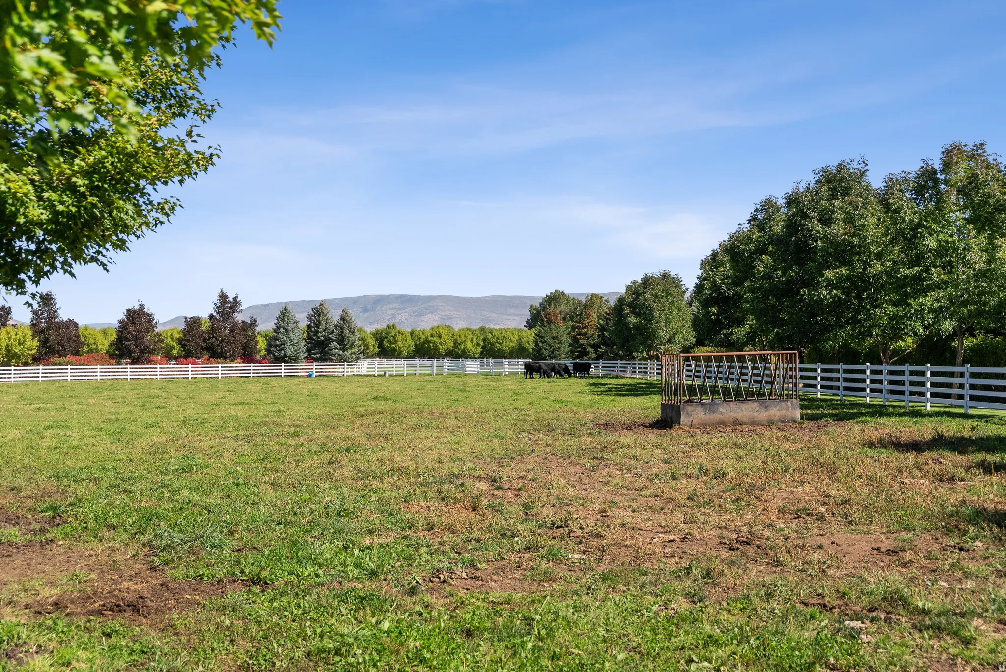 Expansive green pasture framed by a white rail fence, mature trees, and distant mountains