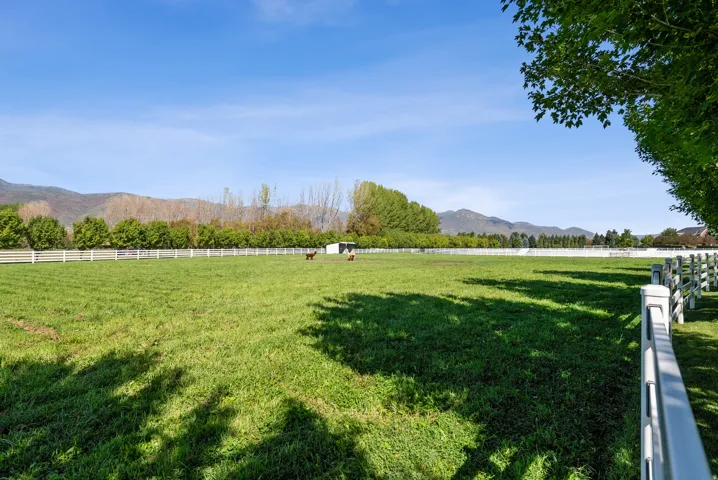 Expansive green pastures framed by white fencing and mature perimeter trees