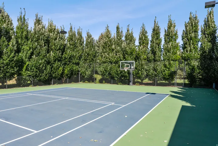 Outdoor sport court featuring a basketball hoop and blue and green surfacing, framed by mature trees and a chain-link fence