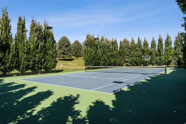 Outdoor tennis court featuring a blue playing surface with white lines, green perimeter, and surrounding mature trees