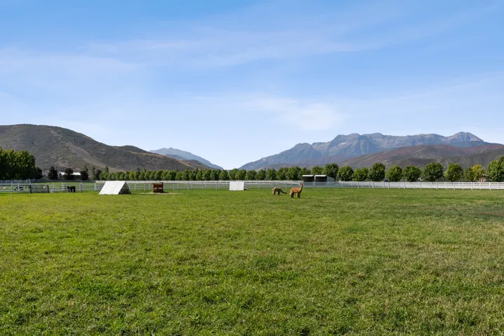 Expansive green pasture with a white picket fence perimeter