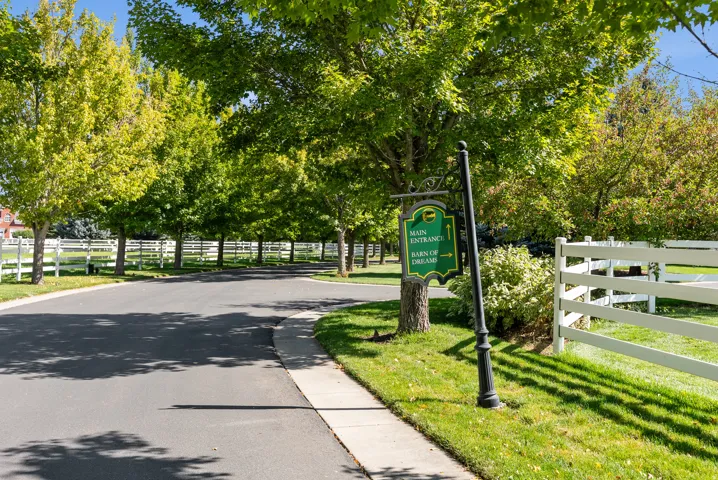 Paved roadway bordered by manicured lawns and mature deciduous trees