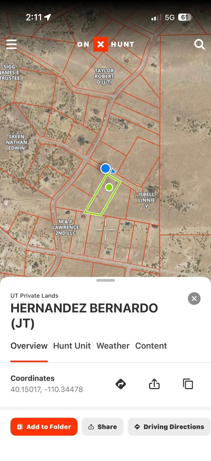 Aerial view of property's location