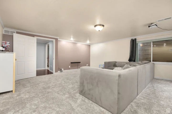 Living area with carpet floors, crown molding, and a textured ceiling