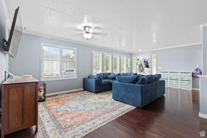Living area featuring ornamental molding, a textured ceiling, dark wood finished floors, and ceiling fan