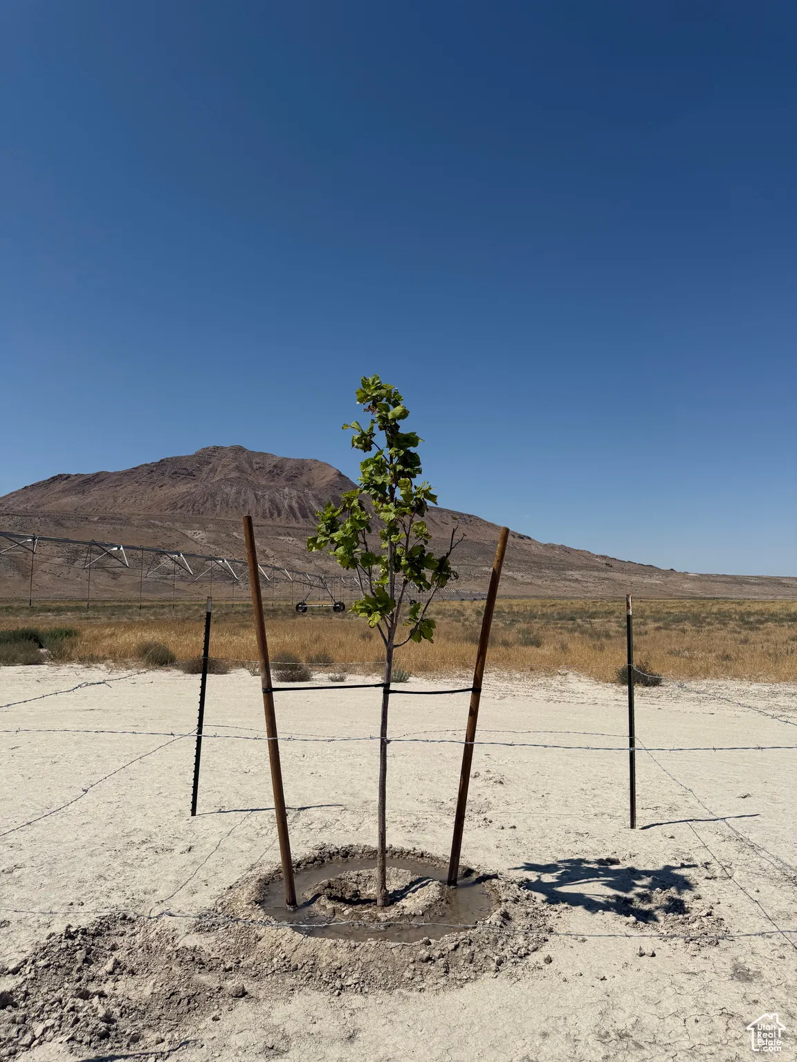 View of yard featuring a mountain view and a view of rural / pastoral area