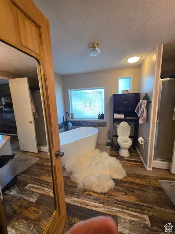 Bathroom with dark wood-type flooring, a freestanding bath, a textured ceiling, a stall shower, and vanity