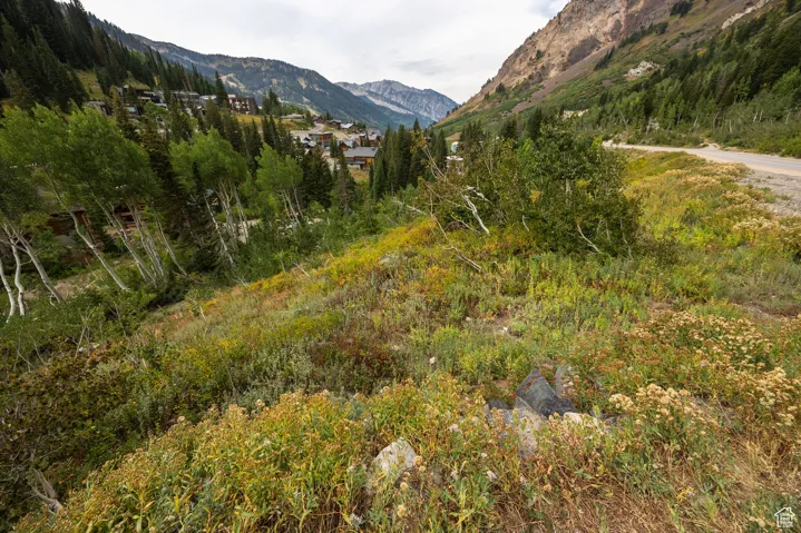 9876 E Little Cottonwood Cyn, Alta, Utah 84092
