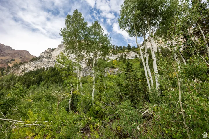 9876 E Little Cottonwood Cyn, Alta, Utah 84092