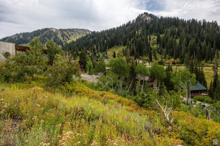 9876 E Little Cottonwood Cyn, Alta, Utah 84092