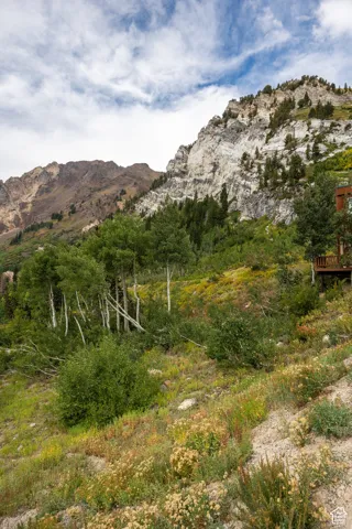 9876 E Little Cottonwood Cyn, Alta, Utah 84092