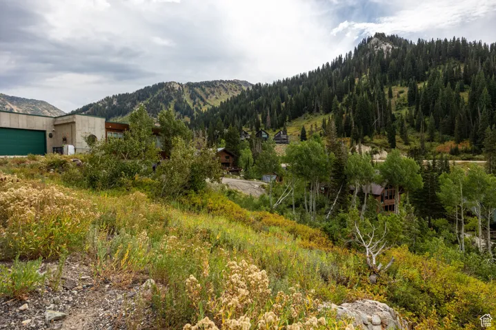 9876 E Little Cottonwood Cyn, Alta, Utah 84092