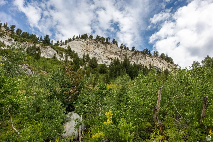9876 E Little Cottonwood Cyn, Alta, Utah 84092