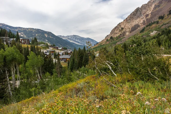 9876 E Little Cottonwood Cyn, Alta, Utah 84092