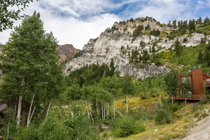 9876 E Little Cottonwood Cyn, Alta, Utah 84092