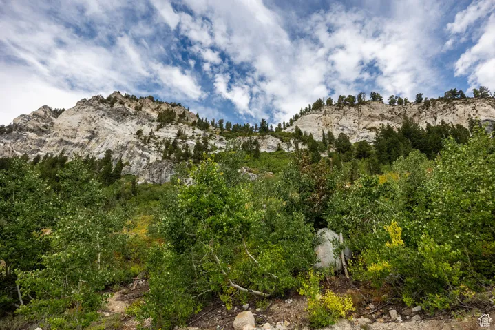 9876 E Little Cottonwood Cyn, Alta, Utah 84092
