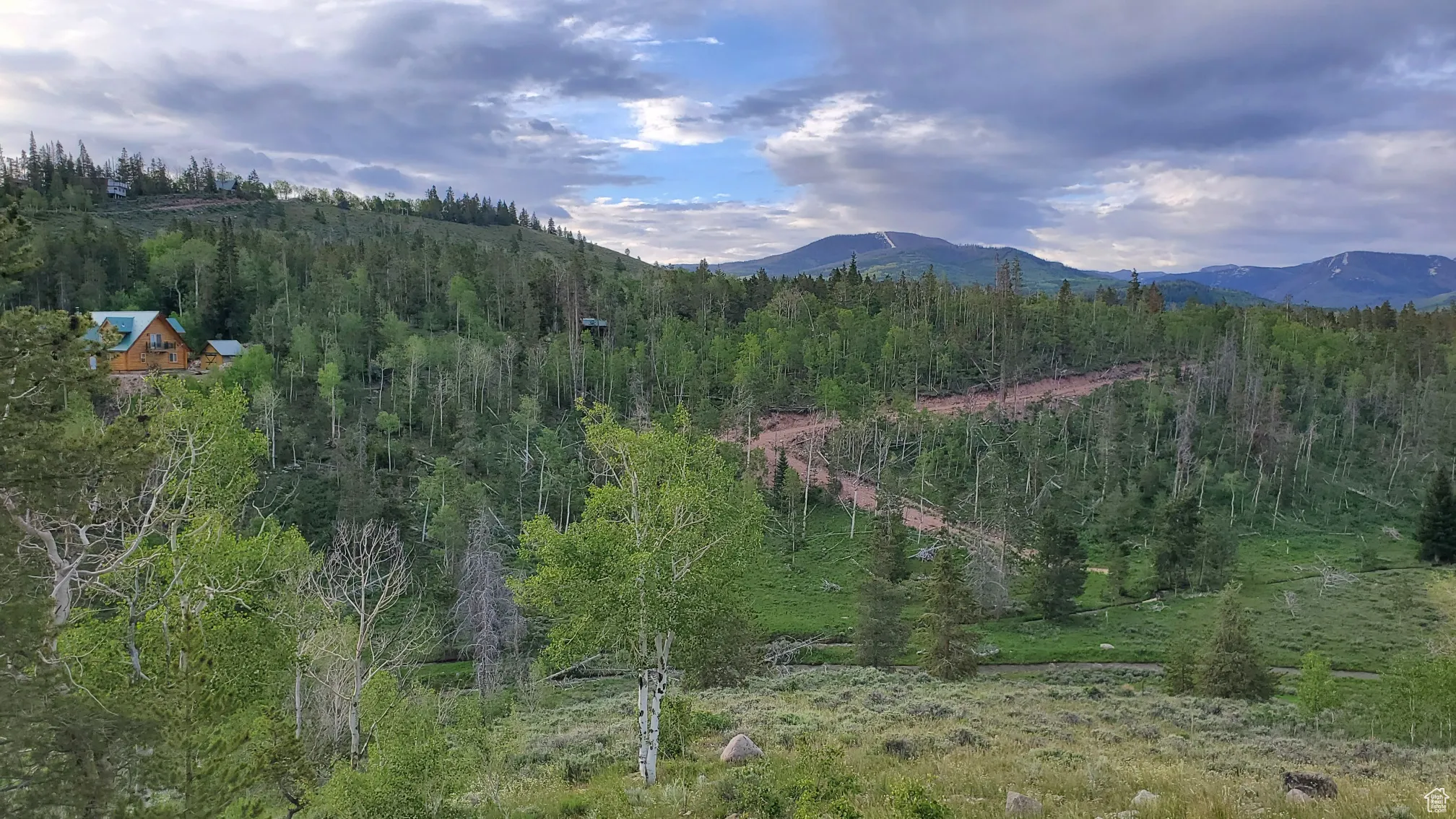View of mountain background with a forest