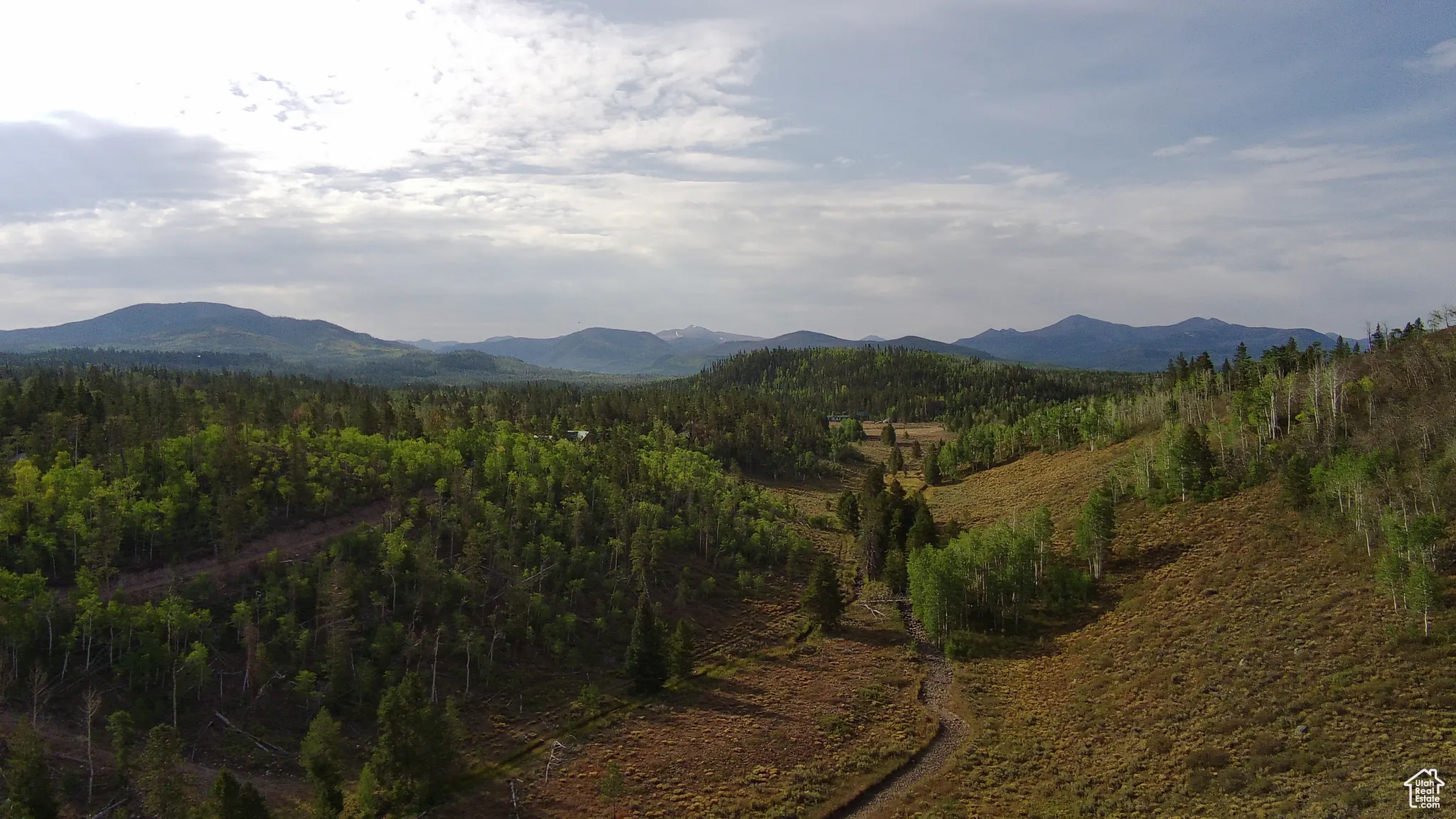 View of mountain background with a forest