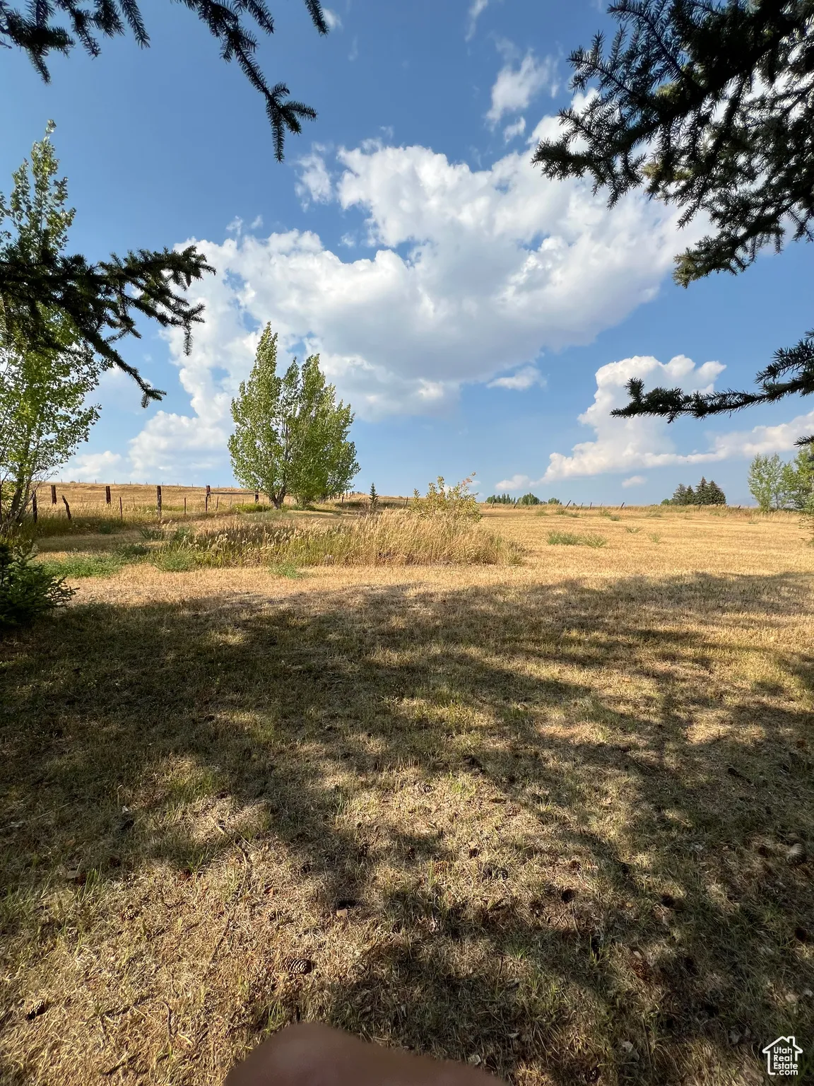 View of green lawn with a rural view