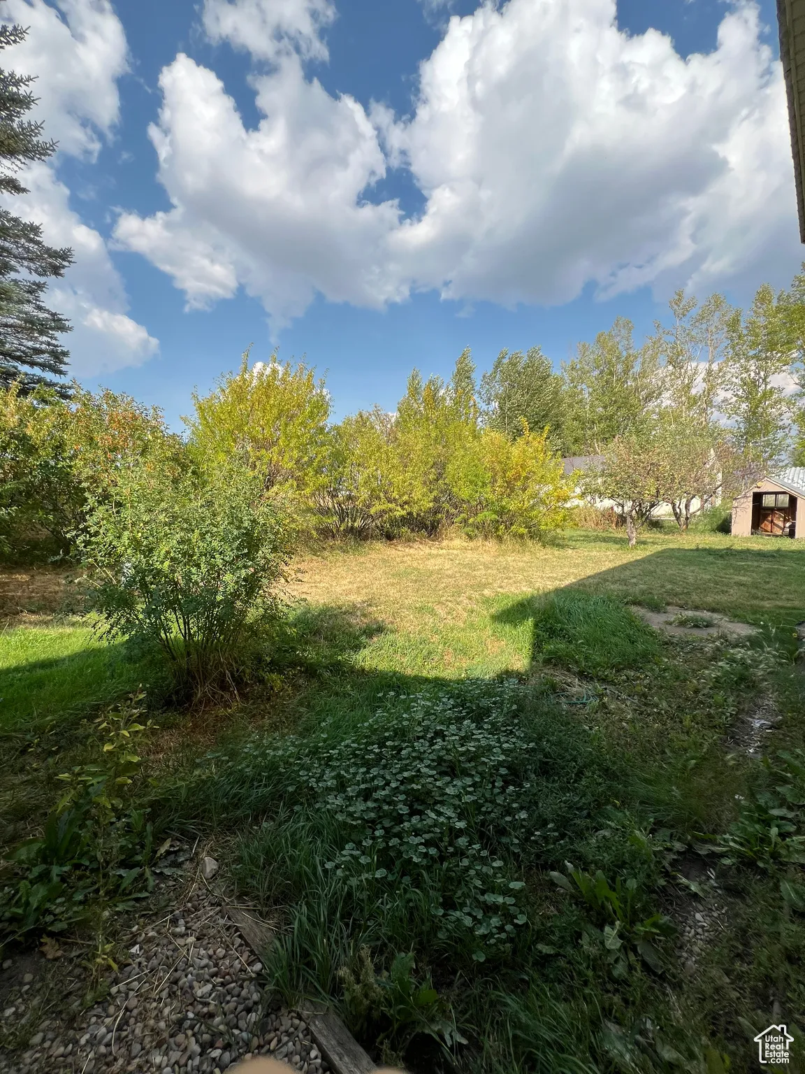 View of grassy yard