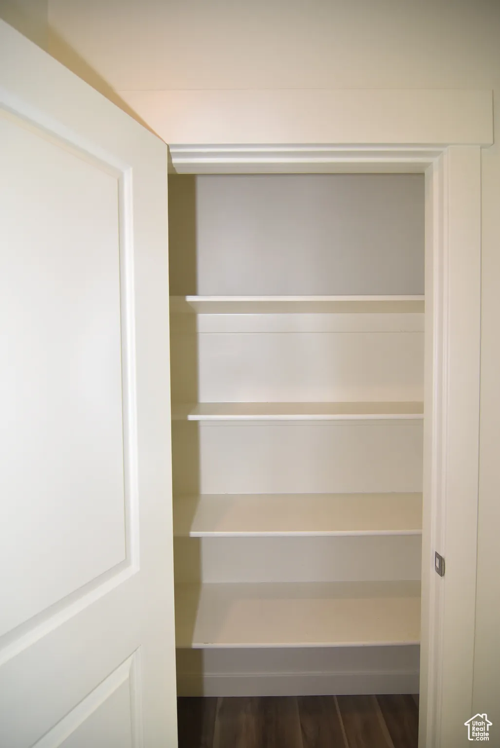 Overflow pantry adjacent to kitchen