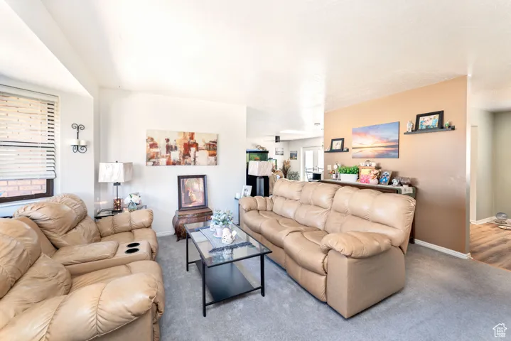 Living area with carpet