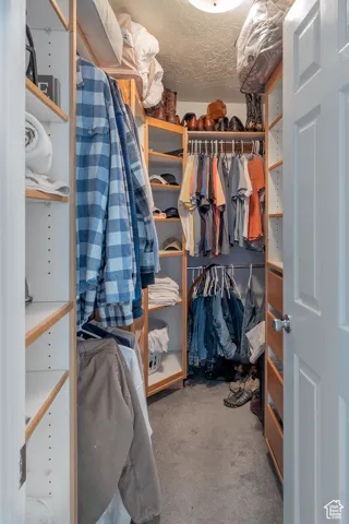 Walk in closet with light carpet