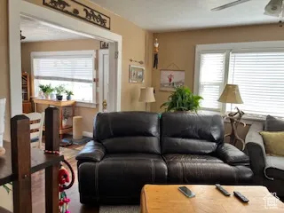 Living room featuring a ceiling fan
