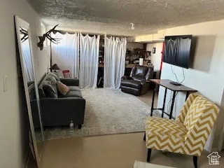 Living room with a textured ceiling