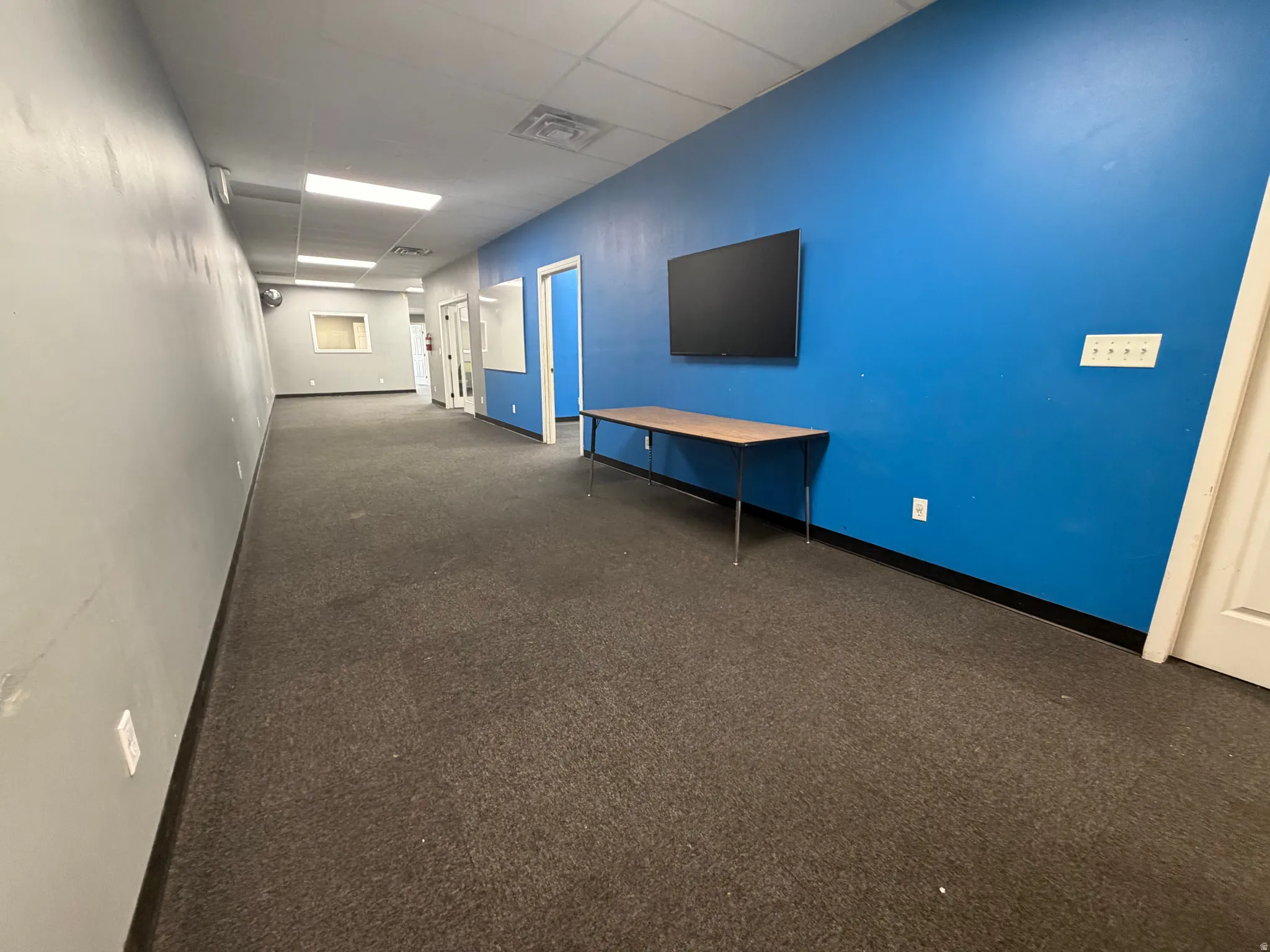 Spacious interior with neutral gray and vibrant blue painted walls, dark gray carpet flooring, recessed fluorescent lighting, and multiple white doors