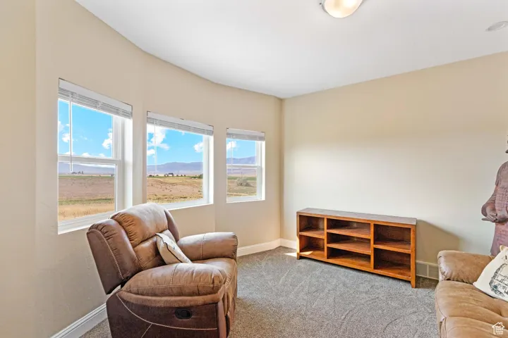 Sitting room featuring carpet floors and baseboards