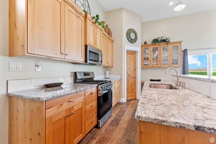 Kitchen featuring stainless steel appliances, light stone countertops, and dark wood-type flooring