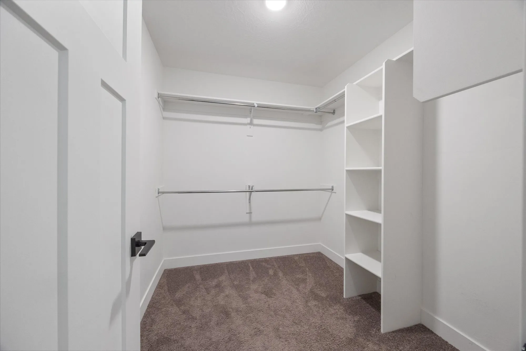Walk in closet with dark colored carpet
