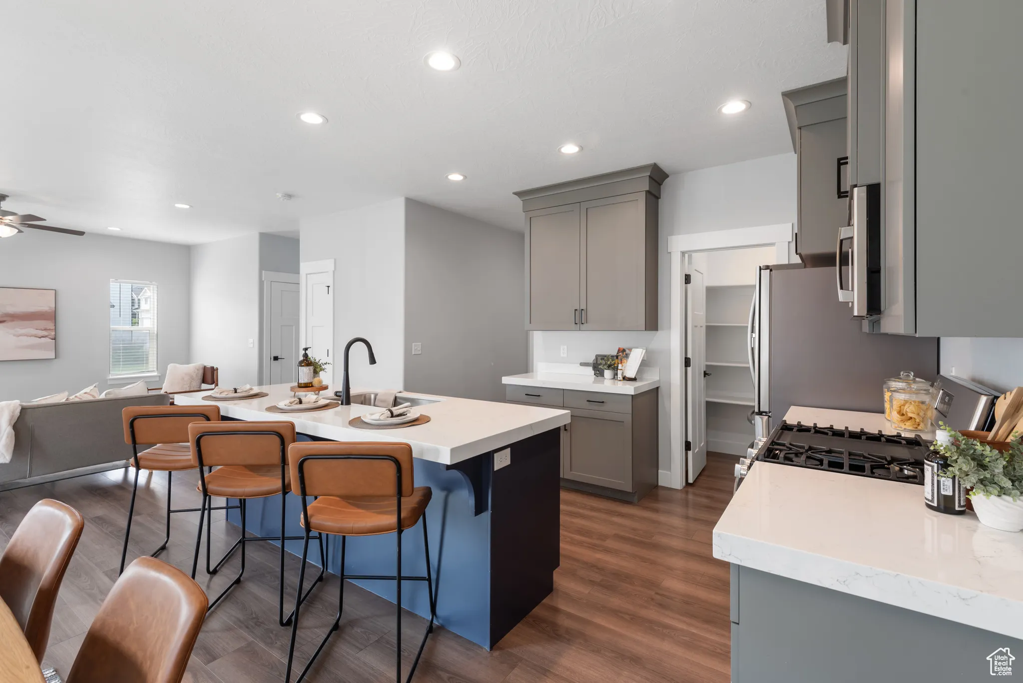 Kitchen with gray cabinetry, dark wood-type flooring, stainless steel appliances, open floor plan, and recessed lighting