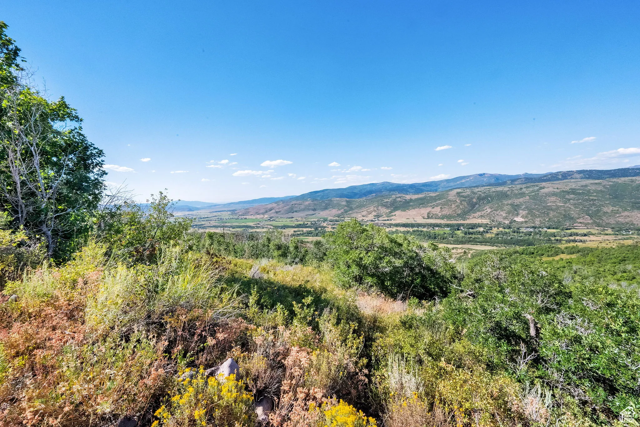 View of mountain background