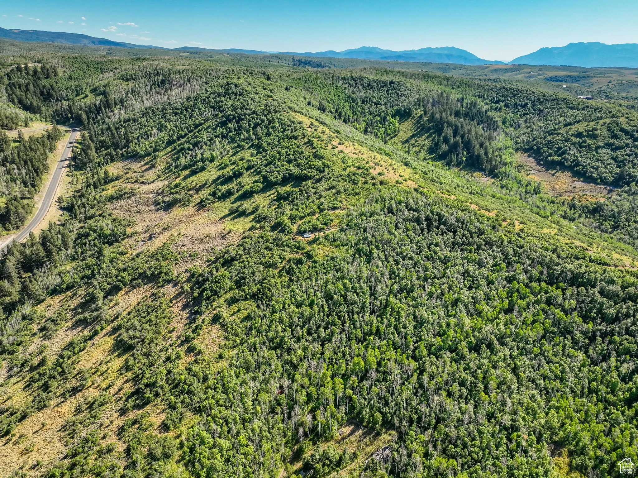 Aerial view of a heavily wooded area and mountains