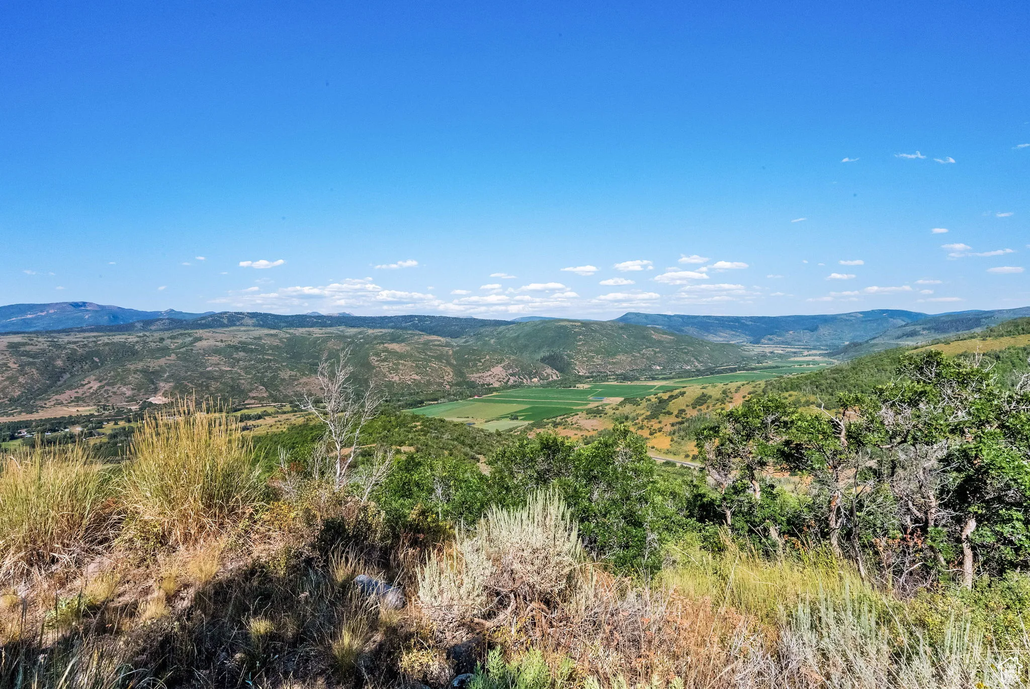Mountain view