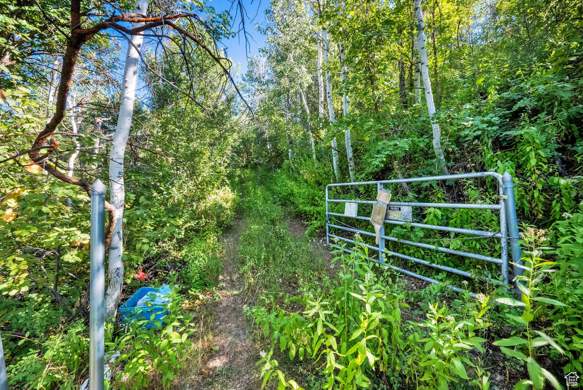 View of yard with a gate and a forest view